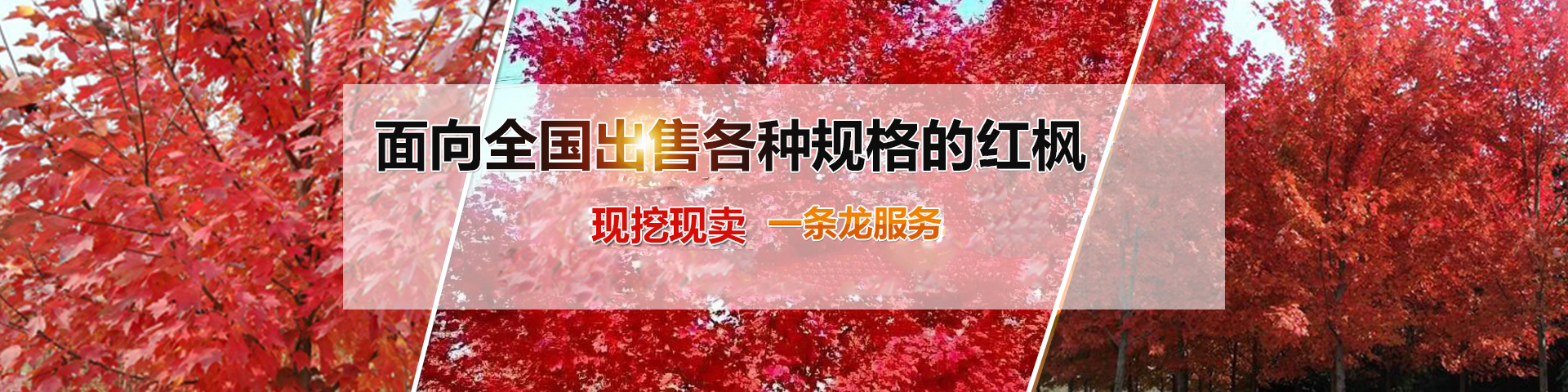 濟(jì)寧星志重工機(jī)械有限公司