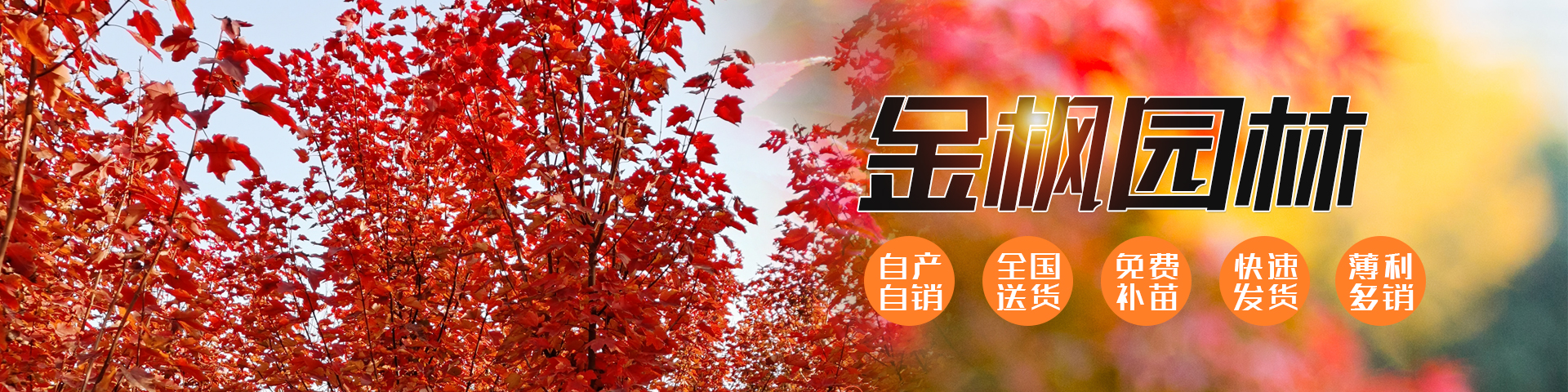 濟(jì)寧星志重工機(jī)械有限公司